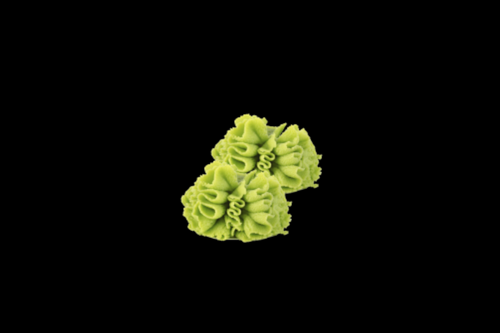 Wasabi